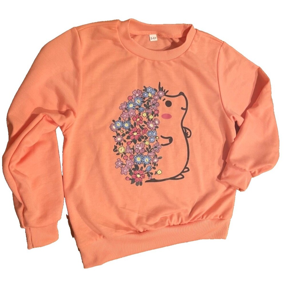 Girls Floral Hedgehog Coral Peach Sweatshirt Pullover 5-6 years School Cute